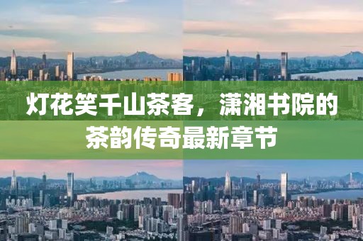 灯花笑千山茶客，潇湘书院的茶韵传奇最新章节