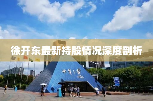徐开东最新持股情况深度剖析