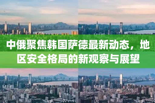 中俄聚焦韩国萨德最新动态，地区安全格局的新观察与展望