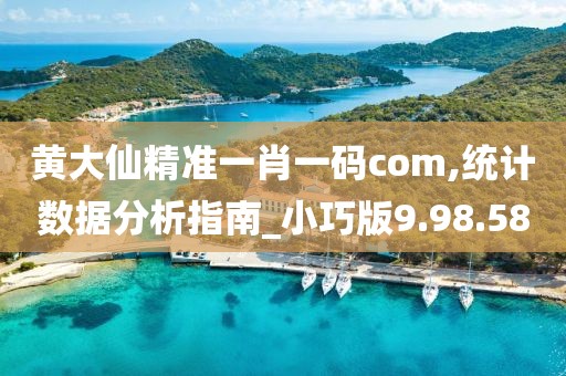 黄大仙精准一肖一码com,统计数据分析指南_小巧版9.98.58