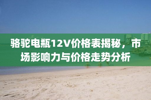 骆驼电瓶12V价格表揭秘，市场影响力与价格走势分析