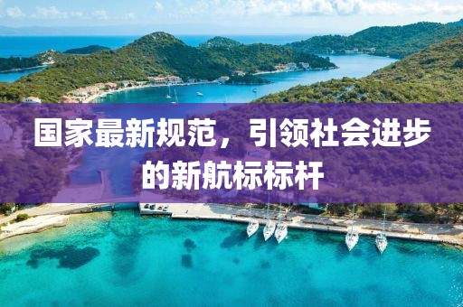 国家最新规范，引领社会进步的新航标标杆