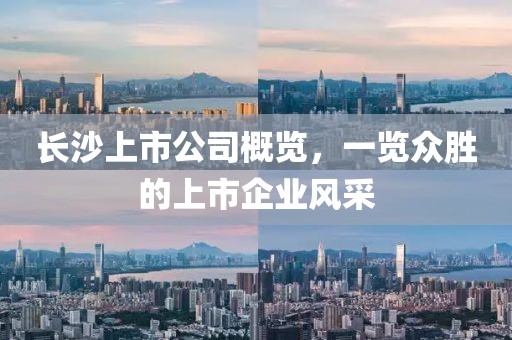 长沙上市公司概览，一览众胜的上市企业风采