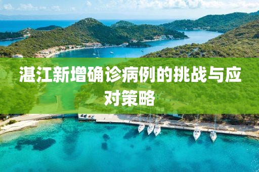 湛江新增确诊病例的挑战与应对策略