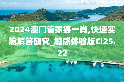 2024澳门管家婆一肖,快速实施解答研究_触感体验版CI25.22