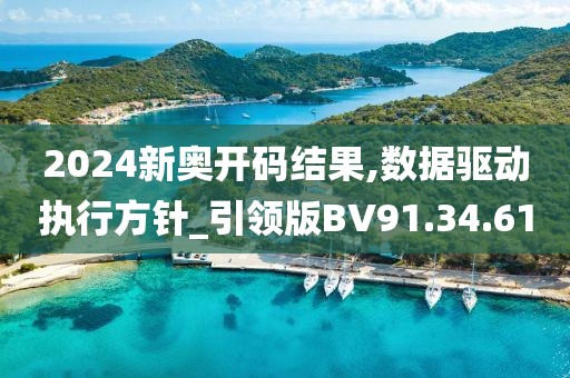 2024新奥开码结果,数据驱动执行方针_引领版BV91.34.61