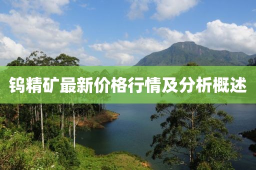 钨精矿最新价格行情及分析概述