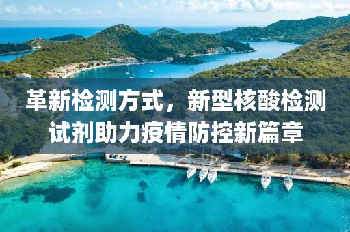 革新检测方式，新型核酸检测试剂助力疫情防控新篇章