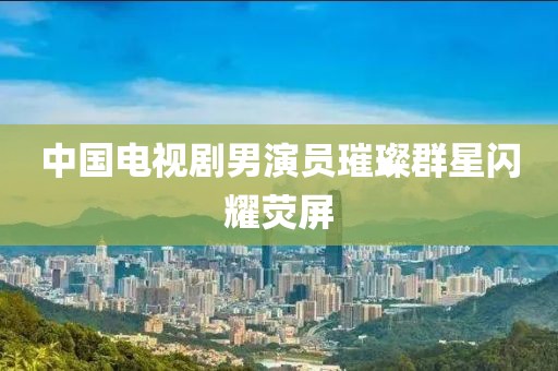 中国电视剧男演员璀璨群星闪耀荧屏