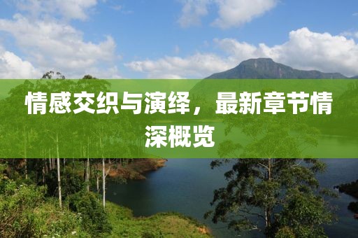 情感交织与演绎，最新章节情深概览