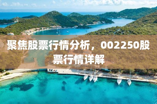 聚焦股票行情分析，002250股票行情详解