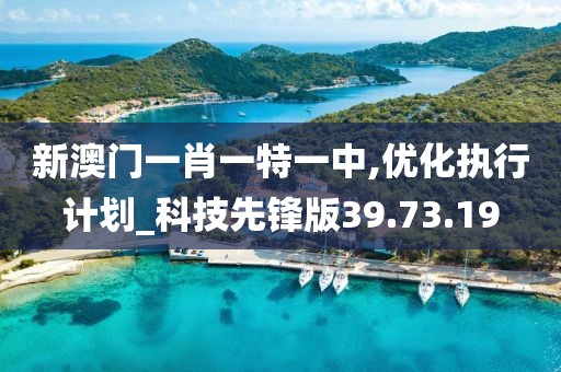 新澳门一肖一特一中,优化执行计划_科技先锋版39.73.19