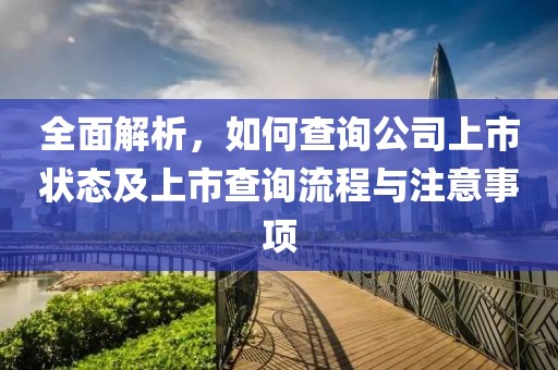 全面解析，如何查询公司上市状态及上市查询流程与注意事项