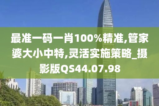 最准一码一肖100%精准,管家婆大小中特,灵活实施策略_摄影版QS44.07.98