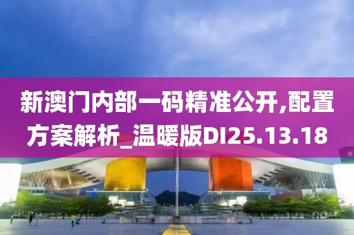 新澳门内部一码精准公开,配置方案解析_温暖版DI25.13.18