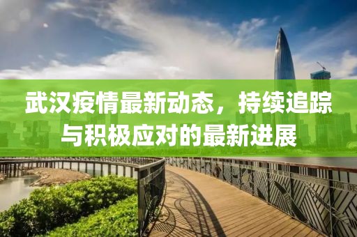 武汉疫情最新动态，持续追踪与积极应对的最新进展