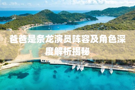 爸爸是条龙演员阵容及角色深度解析揭秘