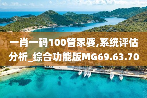 一肖一码100管家婆,系统评估分析_综合功能版MG69.63.70