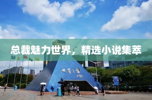 总裁魅力世界，精选小说集萃