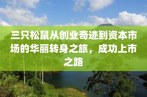 三只松鼠从创业奇迹到资本市场的华丽转身之旅，成功上市之路