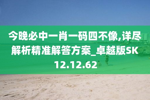 今晚必中一肖一码四不像,详尽解析精准解答方案_卓越版SK12.12.62