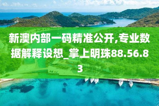 新澳内部一码精准公开,专业数据解释设想_掌上明珠88.56.83