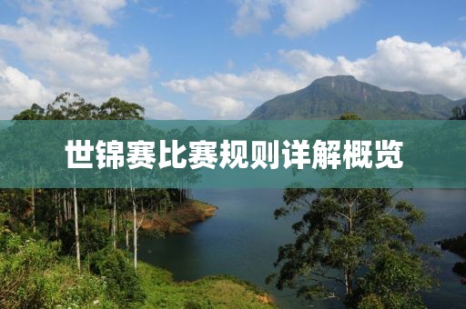 世锦赛比赛规则详解概览