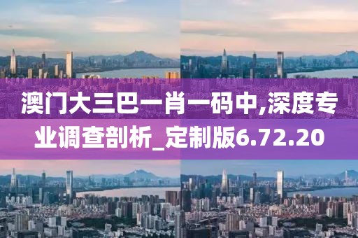 澳门大三巴一肖一码中,深度专业调查剖析_定制版6.72.20