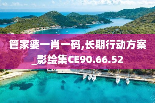 管家婆一肖一码,长期行动方案_影绘集CE90.66.52