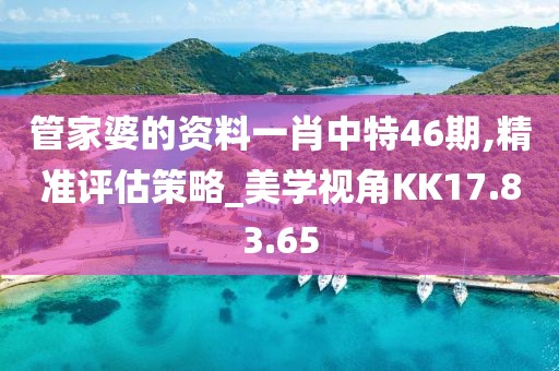 管家婆的资料一肖中特46期,精准评估策略_美学视角KK17.83.65