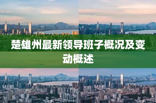 楚雄州最新领导班子概况及变动概述