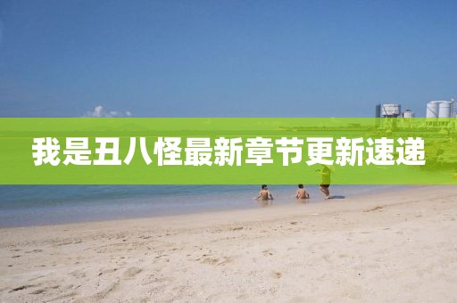我是丑八怪最新章节更新速递