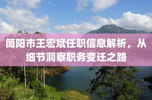 筒阳市王宏斌任职信息解析，从细节洞察职务变迁之路