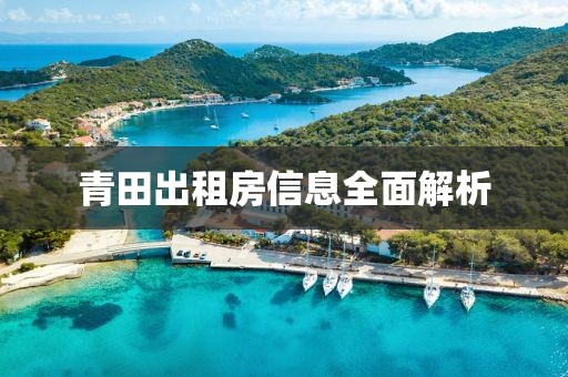 青田出租房信息全面解析