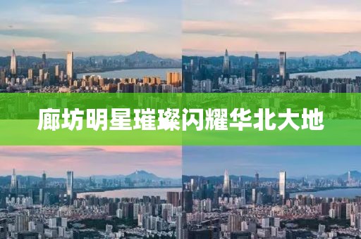 廊坊明星璀璨闪耀华北大地