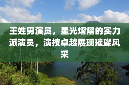 王姓男演员，星光熠熠的实力派演员，演技卓越展现璀璨风采