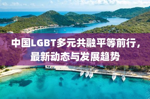 中国LGBT多元共融平等前行，最新动态与发展趋势