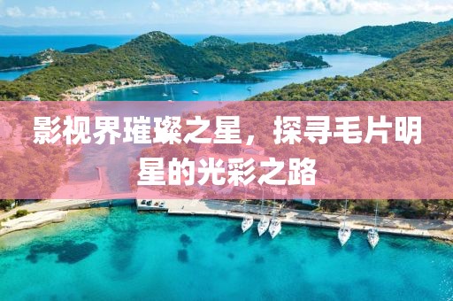 影视界璀璨之星，探寻毛片明星的光彩之路