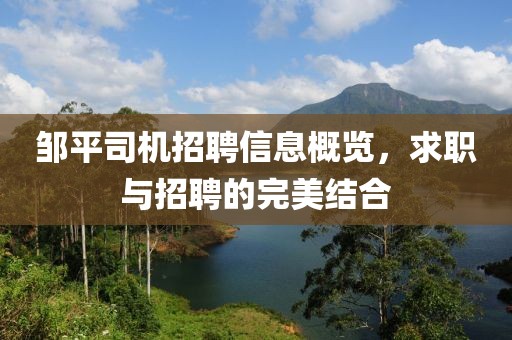 邹平司机招聘信息概览，求职与招聘的完美结合