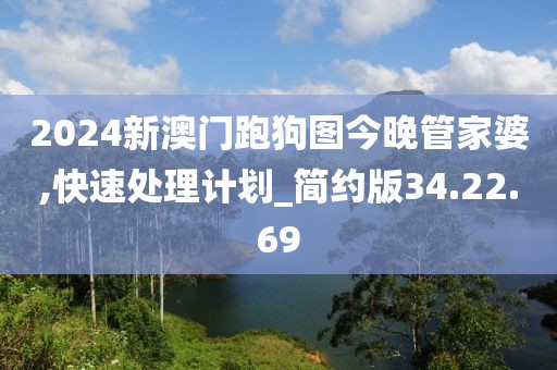 2024新澳门跑狗图今晚管家婆,快速处理计划_简约版34.22.69