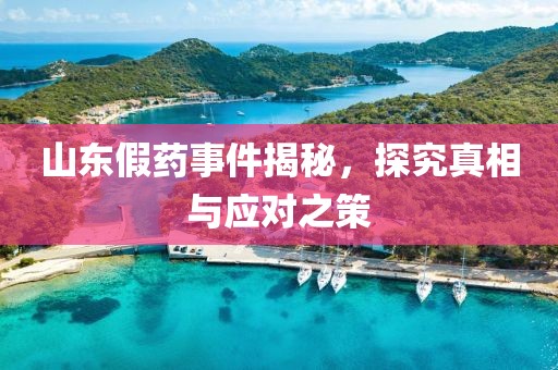 山东假药事件揭秘，探究真相与应对之策