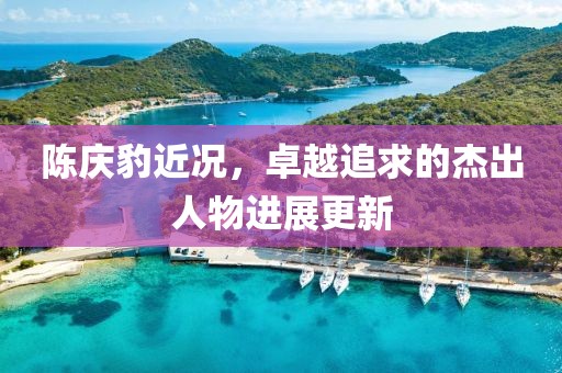 陈庆豹近况，卓越追求的杰出人物进展更新