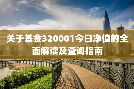 关于基金320001今日净值的全面解读及查询指南