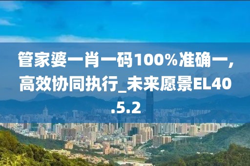 管家婆一肖一码100%准确一,高效协同执行_未来愿景EL40.5.2