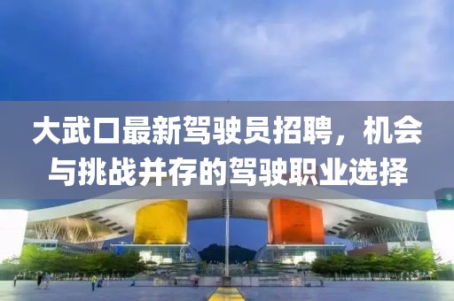 大武口最新驾驶员招聘，机会与挑战并存的驾驶职业选择