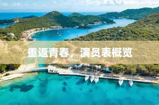 重返青春，演员表概览