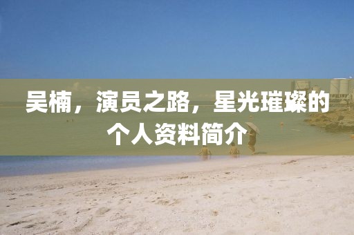 吴楠，演员之路，星光璀璨的个人资料简介