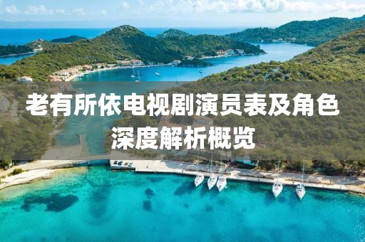 老有所依电视剧演员表及角色深度解析概览