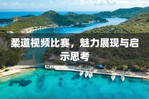 柔道视频比赛，魅力展现与启示思考