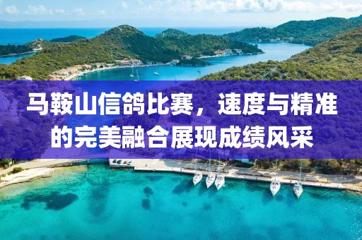 马鞍山信鸽比赛，速度与精准的完美融合展现成绩风采